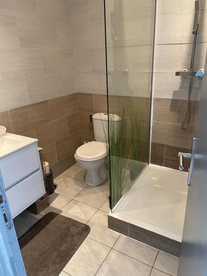 Centre Carcassonne Apartment With Private Sunny Terrace 外观 照片